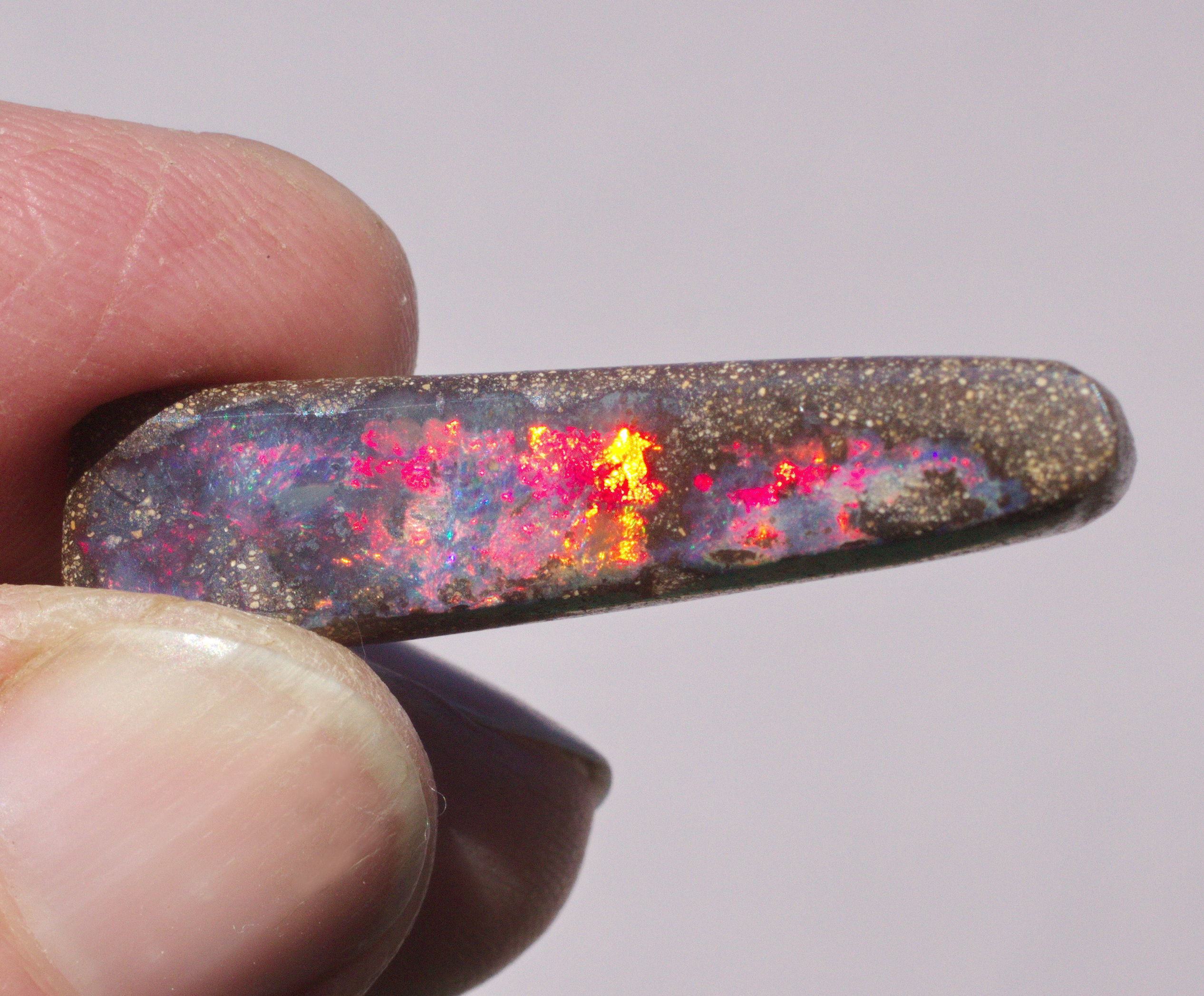 Gigantischer Boulderopal, Sammlerstück