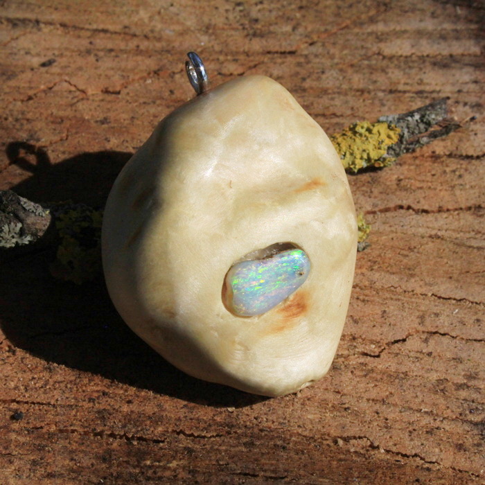 Baumperle von der Pappel mit einem farbenreichen Opal 