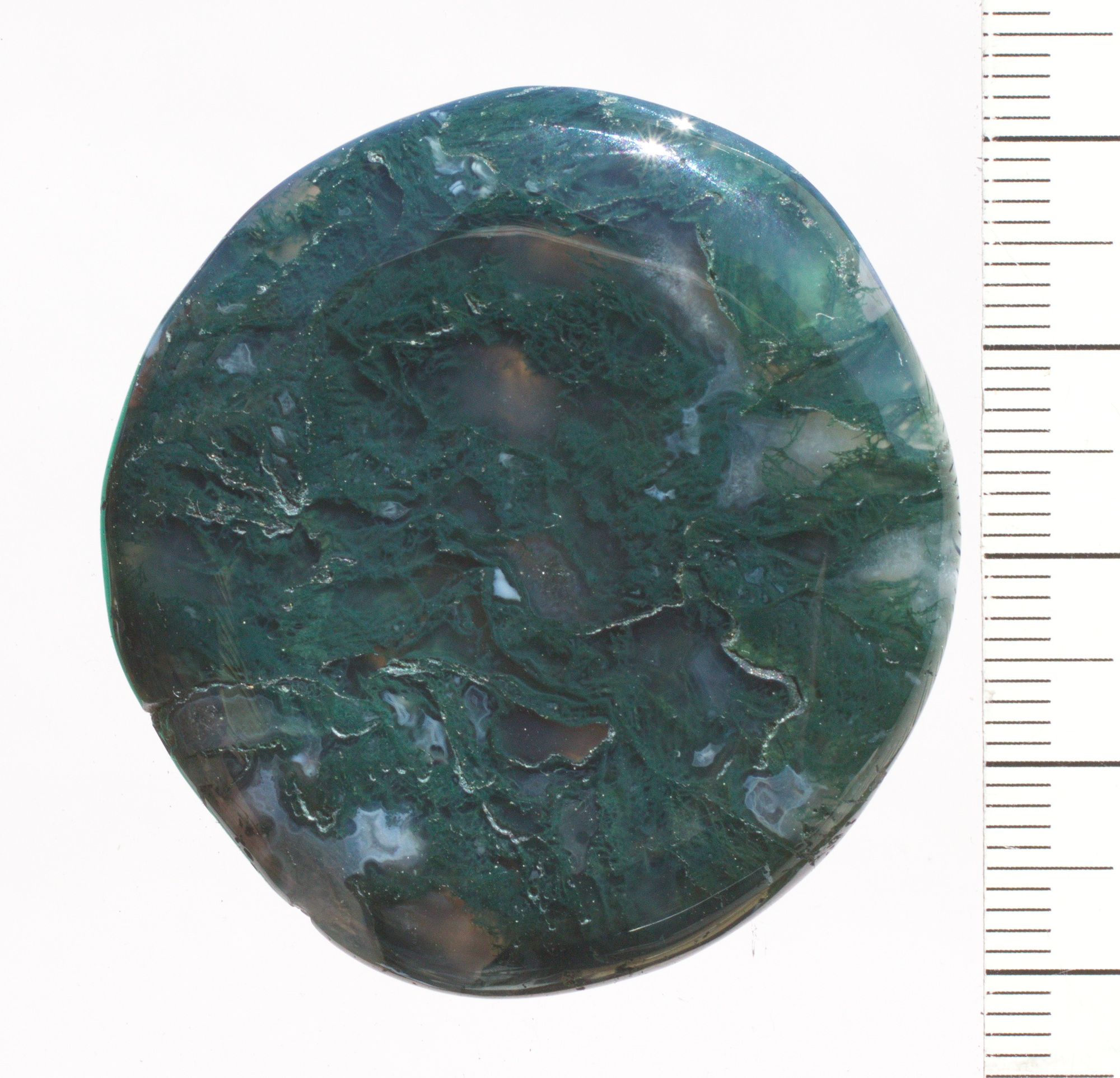 Moosachat Edelstein, Scheibenstein, ungebohrt,  