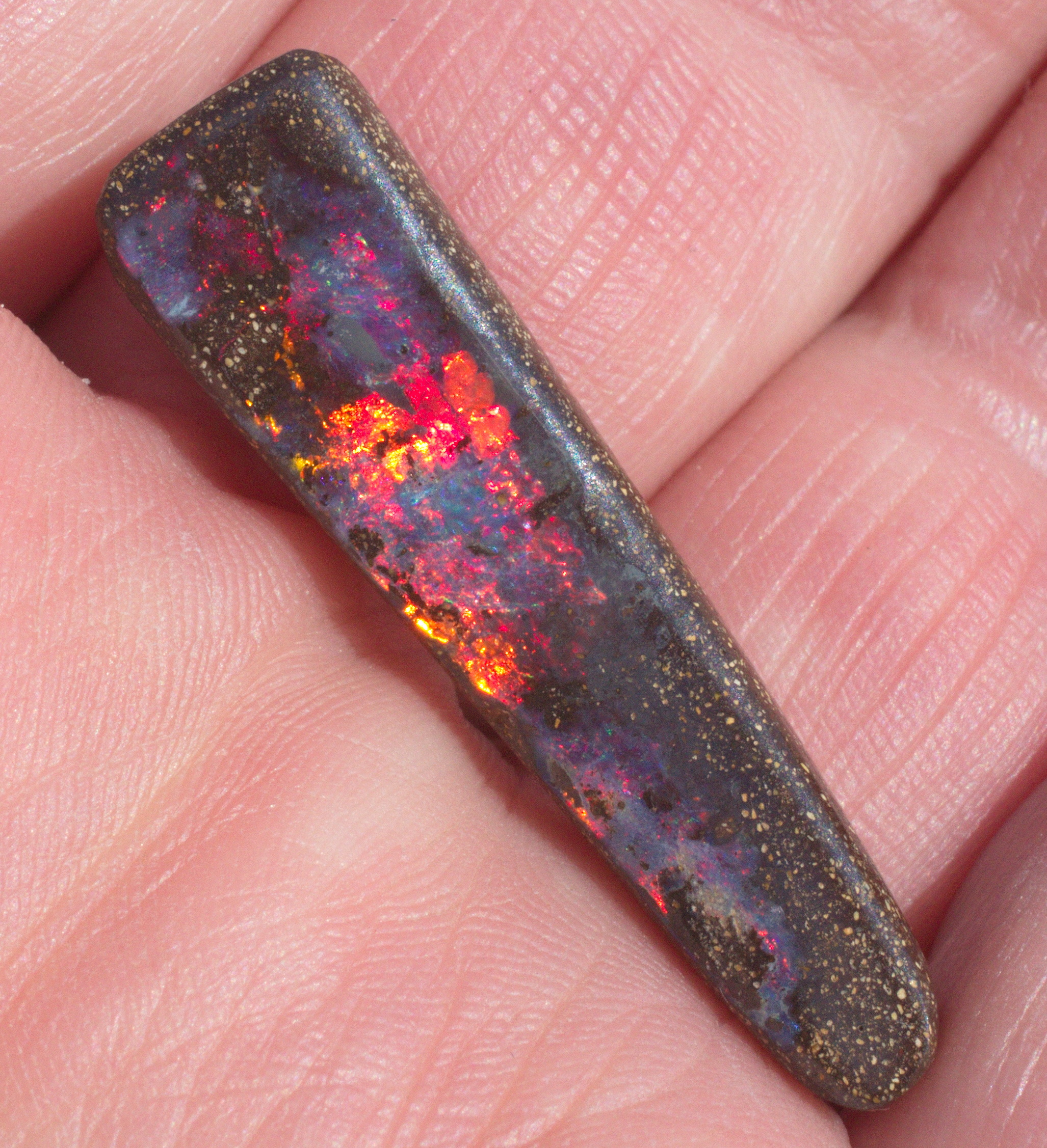 Gigantischer Boulderopal, Sammlerstück