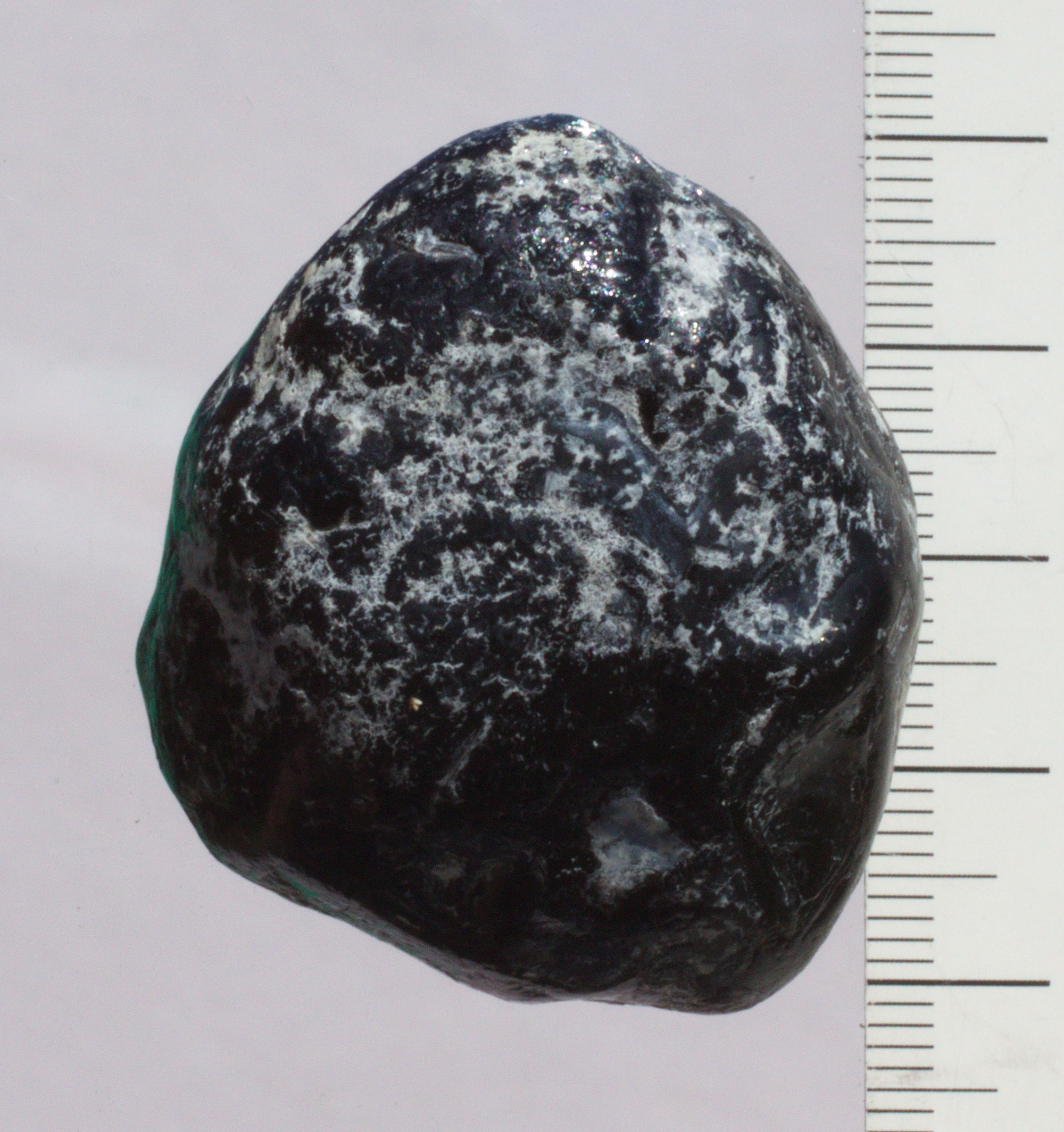 Apachenträne (Rauchobsidian) Edelstein, Trommelstein, ungebohrt,    