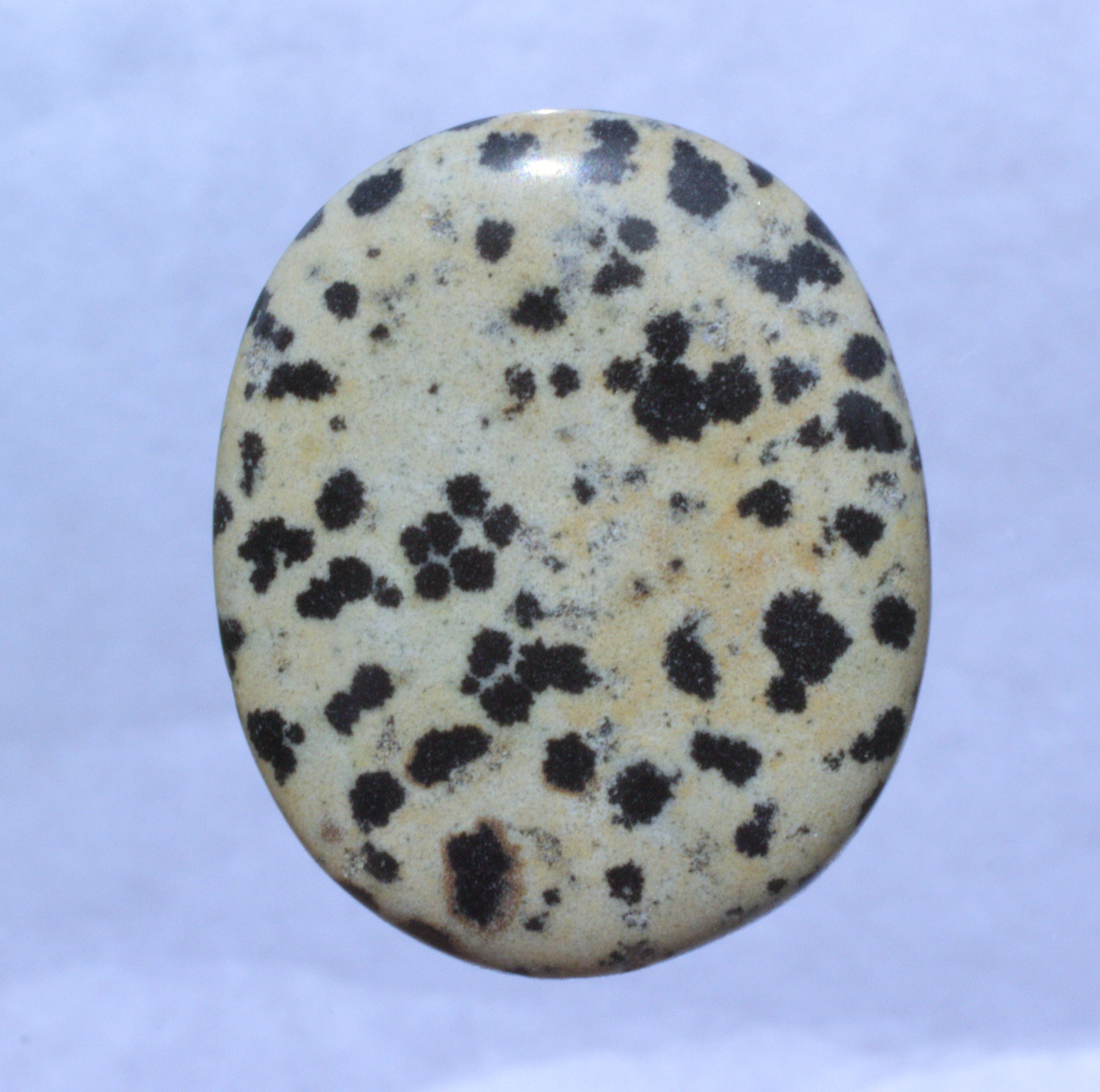 Dalmatinerstein Edelstein, Scheibenstein, ungebohrt,  