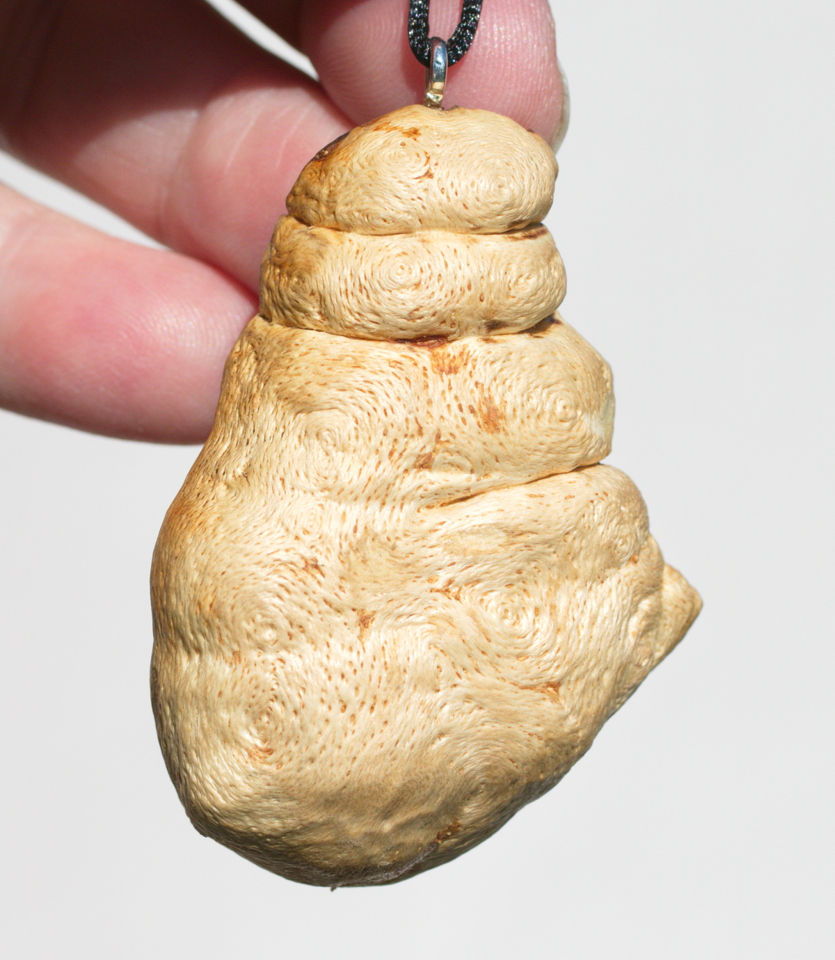 Baumperle von der Buche mit einem blauen Opal