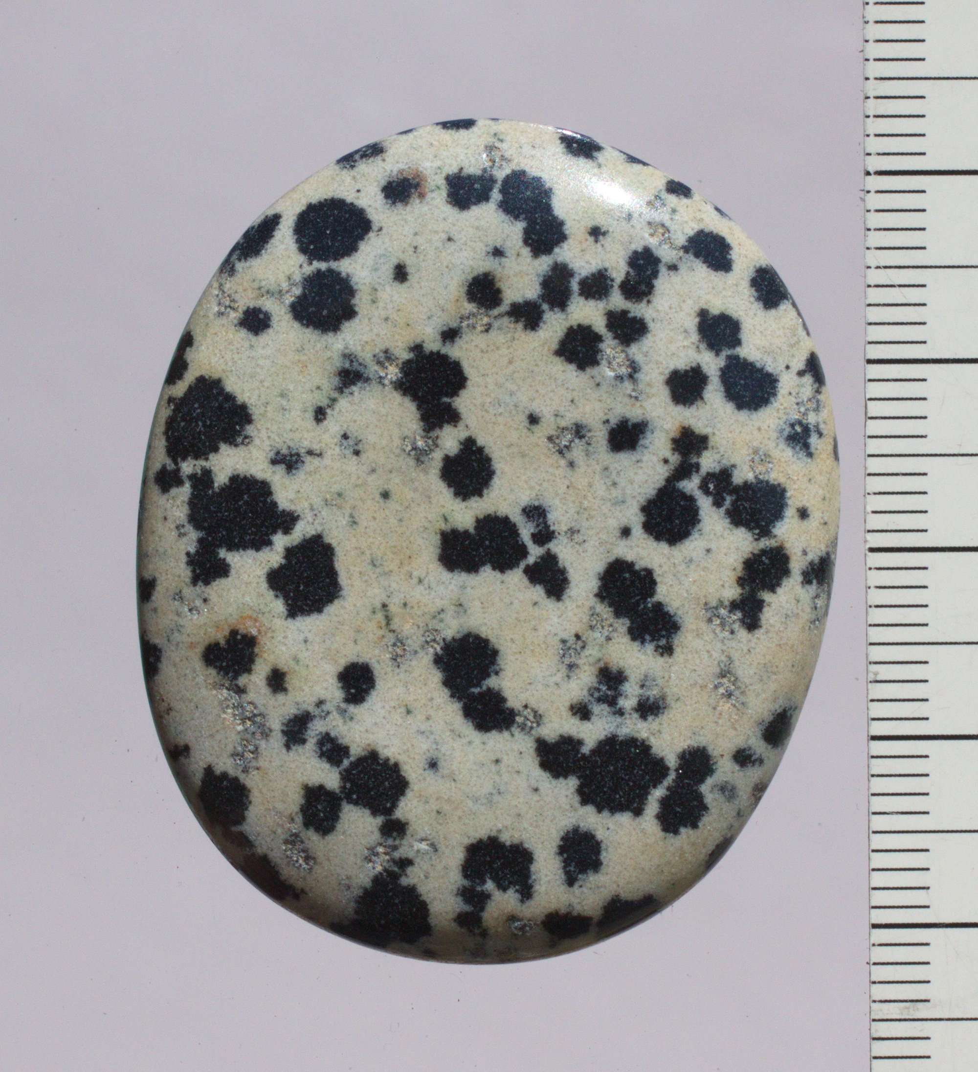 Dalmatinerstein Edelstein, Scheibenstein, ungebohrt,  