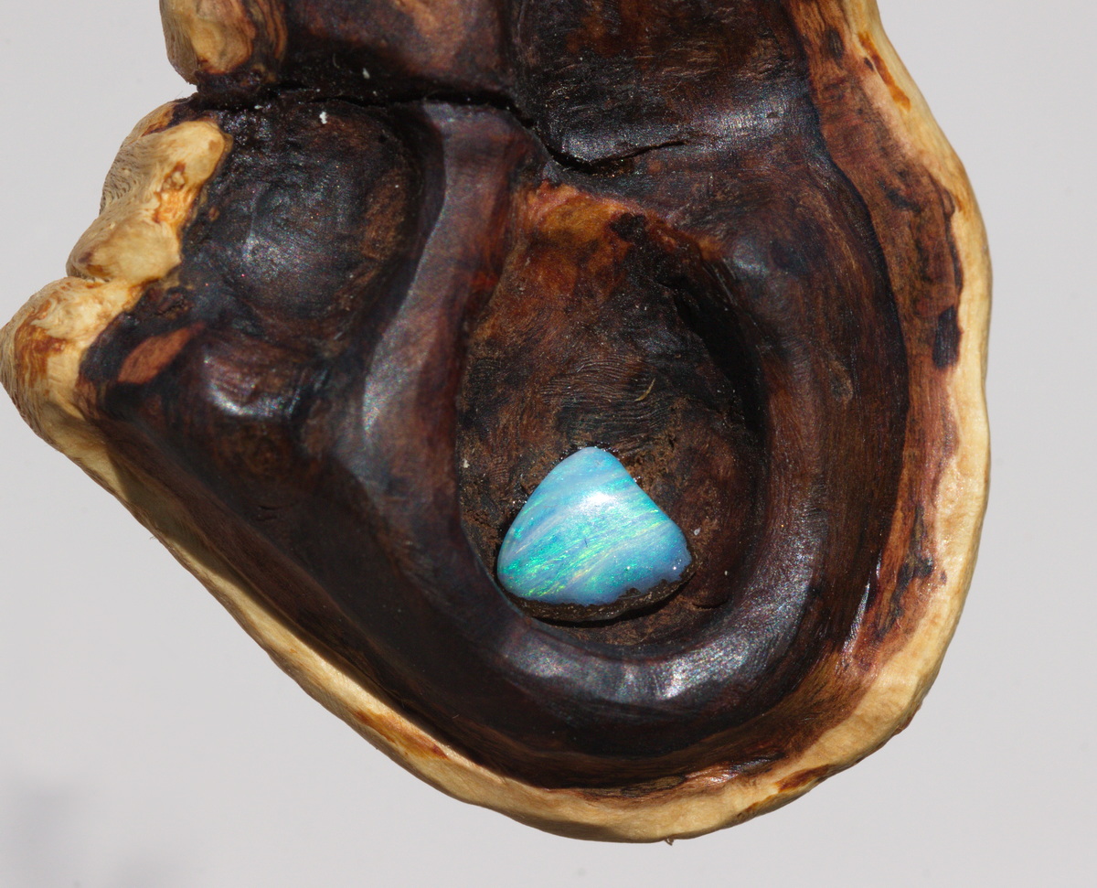 Baumperle von der Buche mit einem blauen Opal