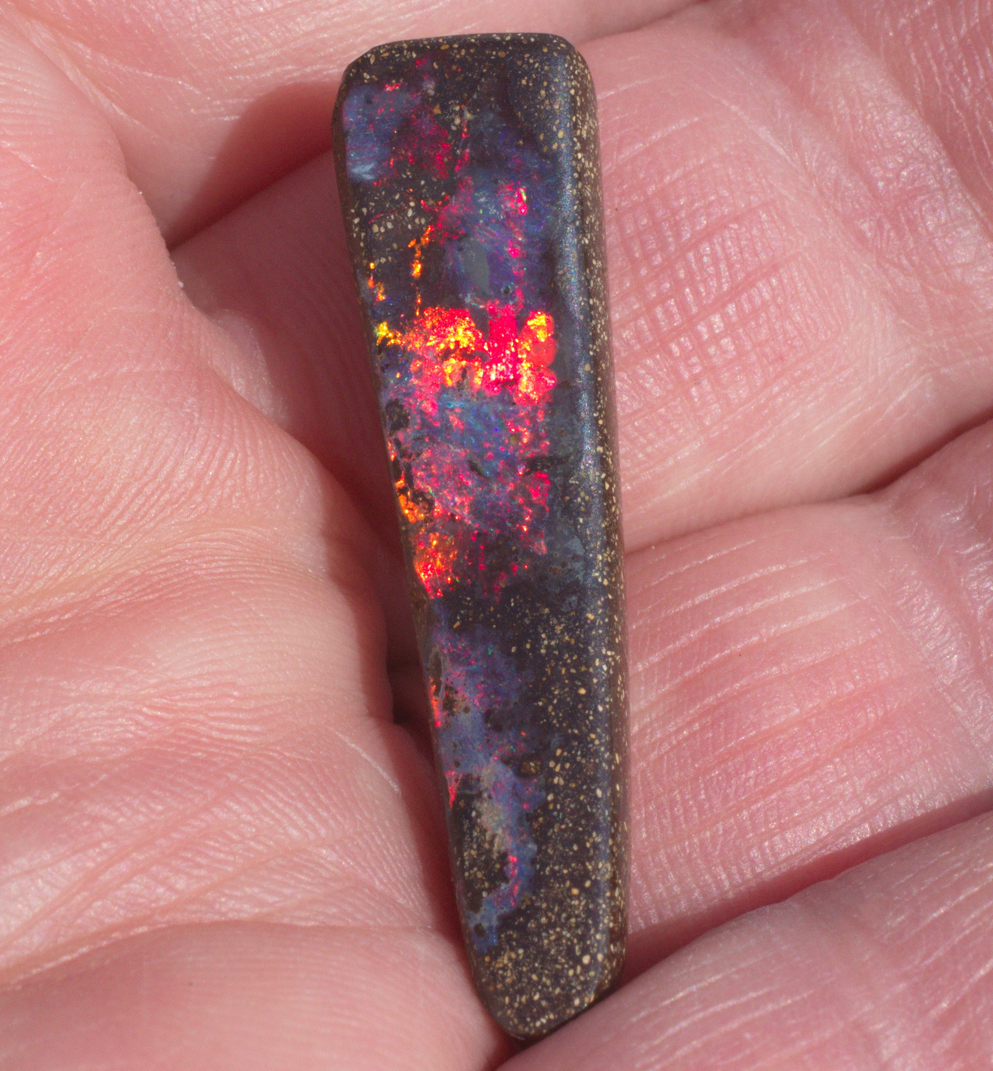 Gigantischer Boulderopal, Sammlerstück